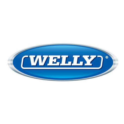 WELLY模型的LOGO