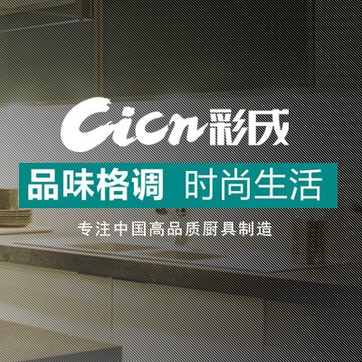 彩成高端厨具专家