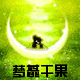 梦蕊干果的LOGO