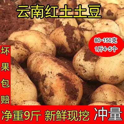 红河哈尼特产经营的LOGO