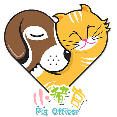 小猪官