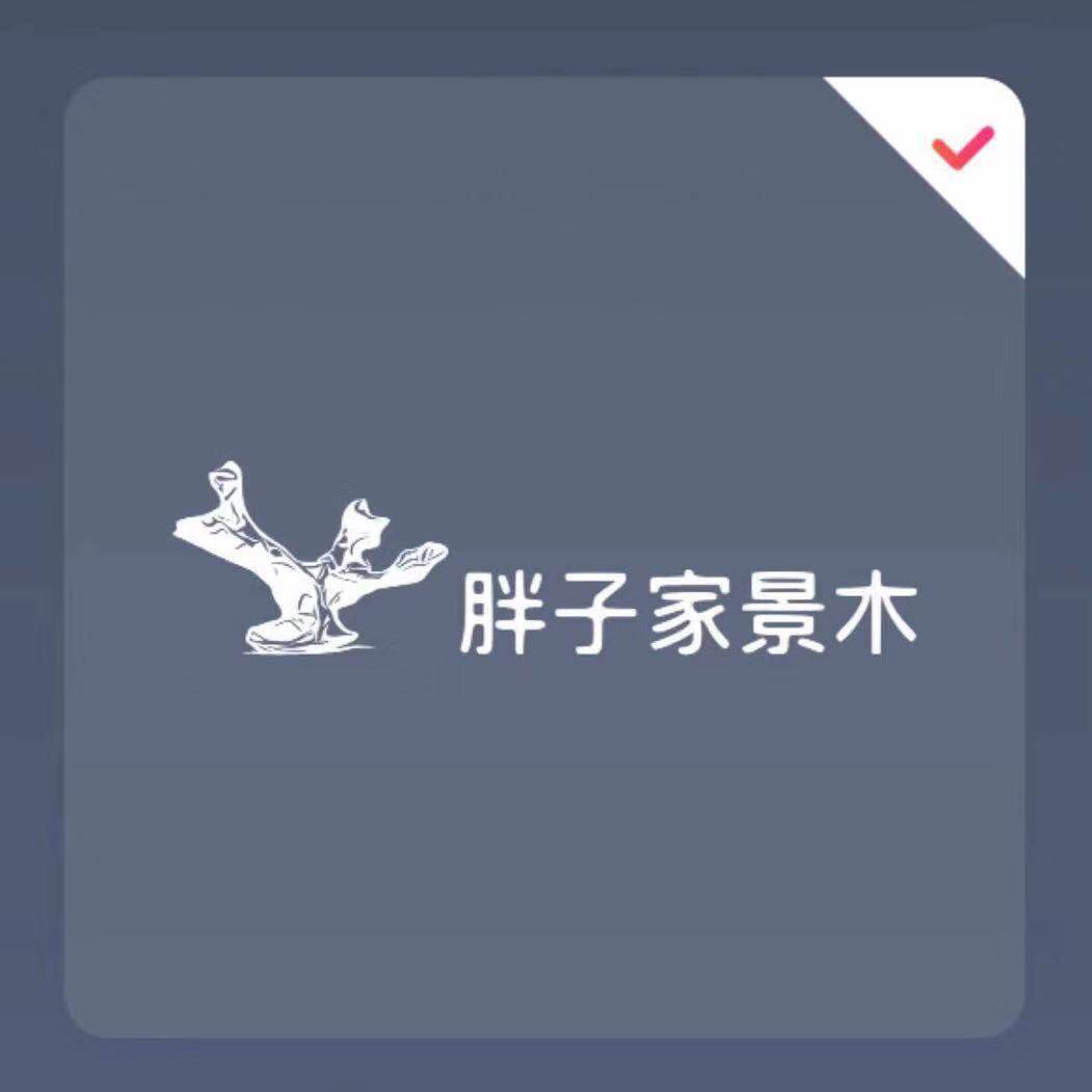 胖子家沉木