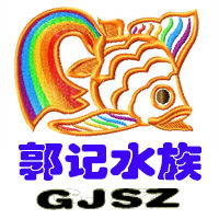 闽江水族折扣店