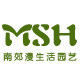南郊漫生活园艺 多肉仙人掌绿植