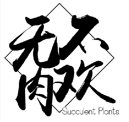 无肉不欢多肉园艺
