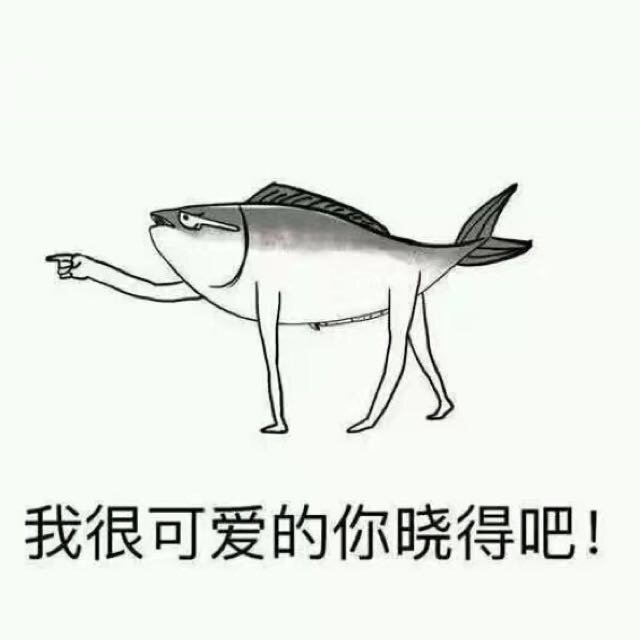 AKA的大草原