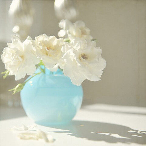 清吟 花艺 生活
