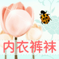 虹来儿内衣店