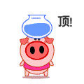 有你宠物用品