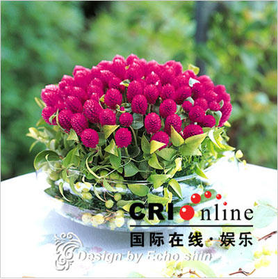 淘花涛小铺