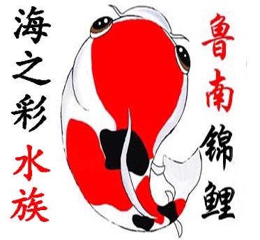 海之彩水族