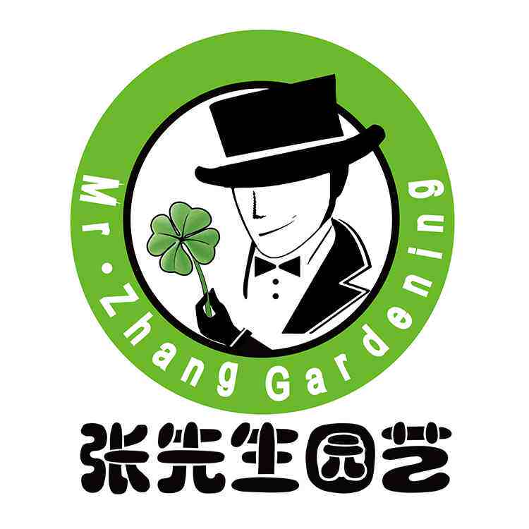 花与张先生