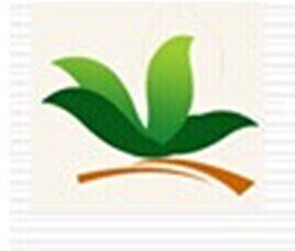 展飞包装纸皮工厂店的LOGO