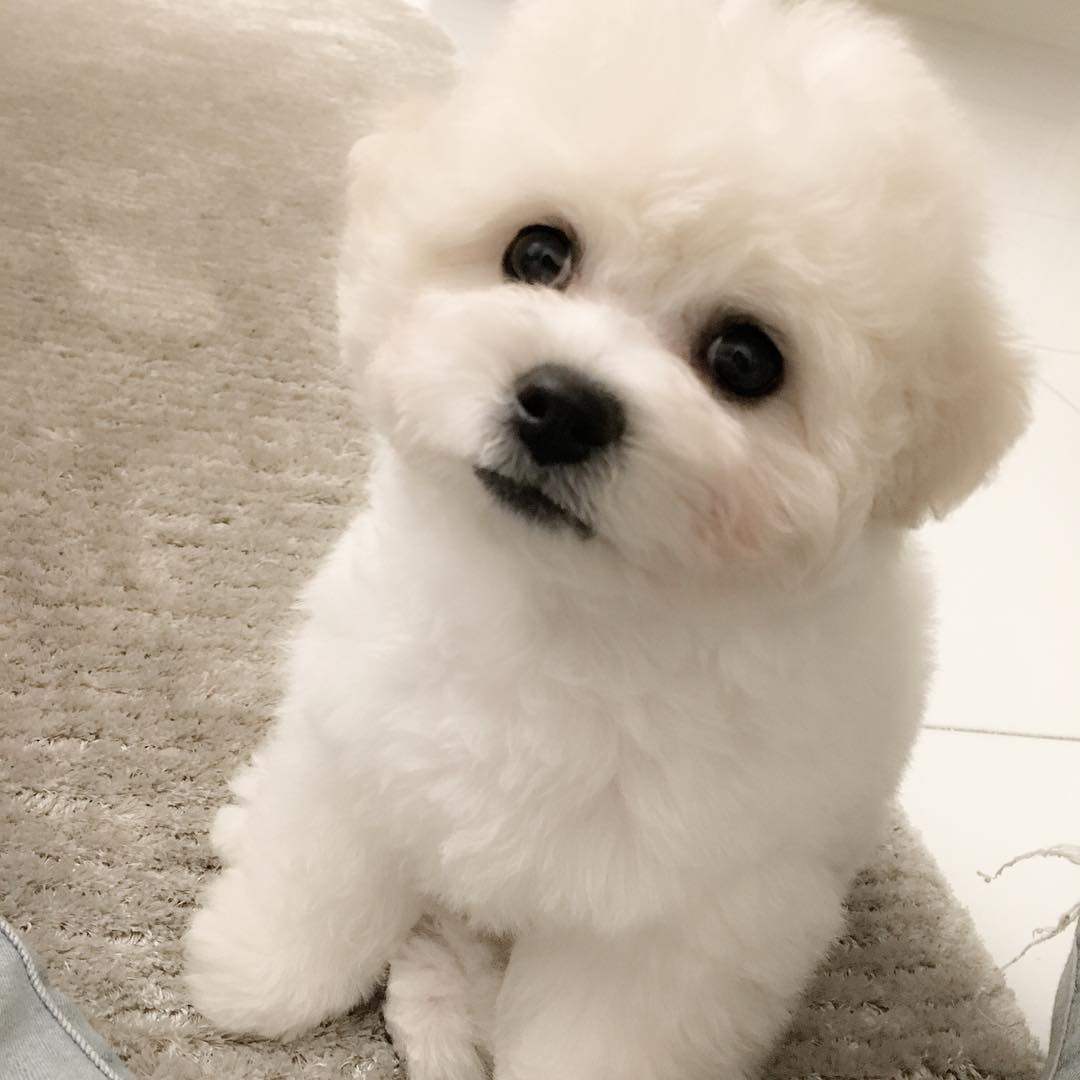 乐淘淘汽车配件