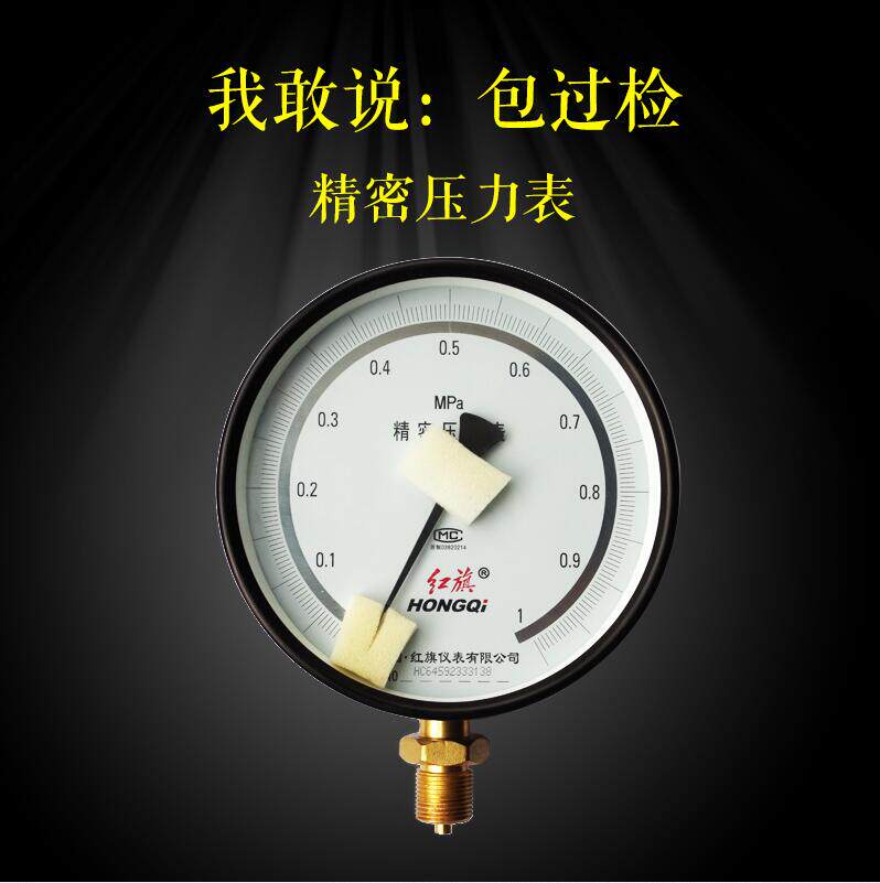 精逸仪表工厂店的LOGO