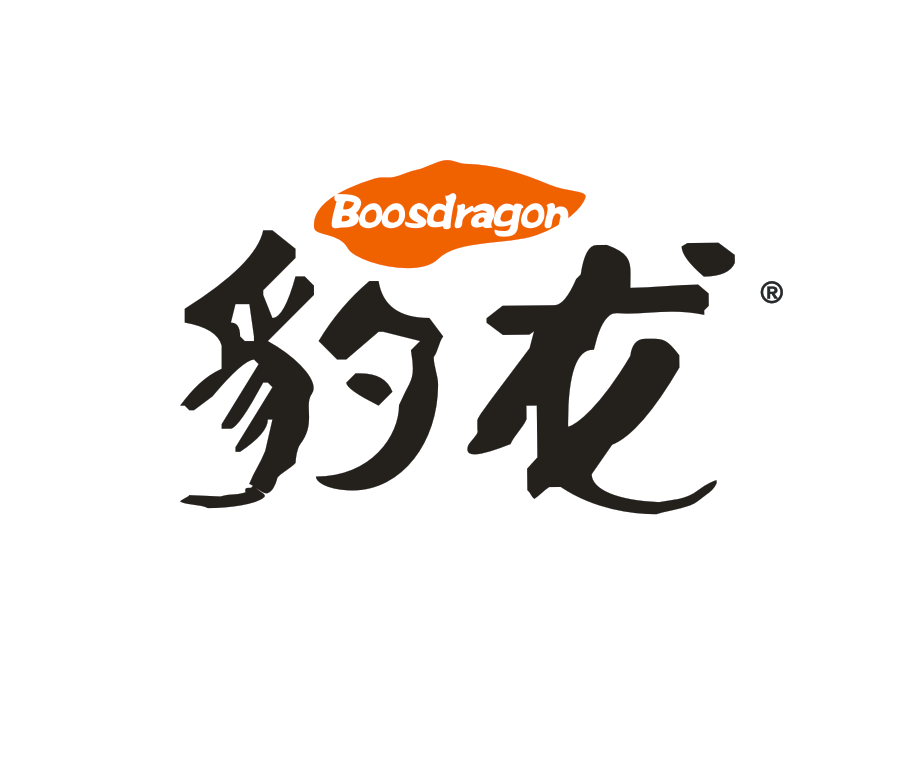 豹龙旗舰店的LOGO