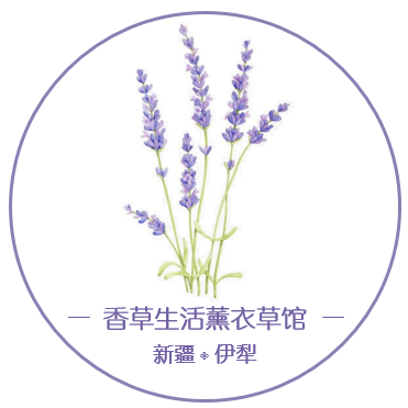 新疆伊犁65团香草生活薰衣草馆的LOGO