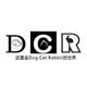 DCR宠物工作室