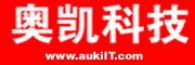 沈阳奥凯科技的LOGO
