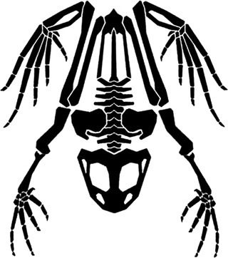 骨蛙战术装备的LOGO