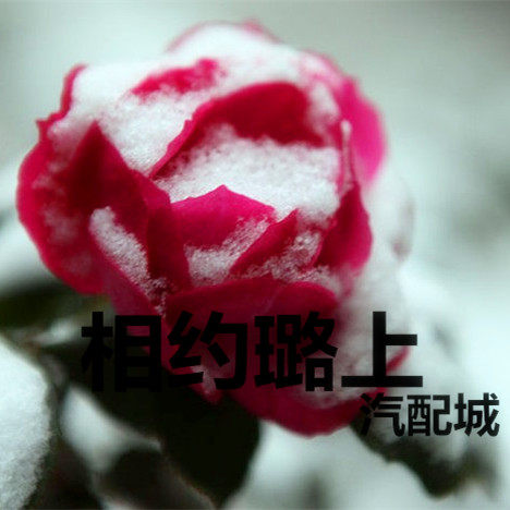 相约璐上汽车配件城的LOGO