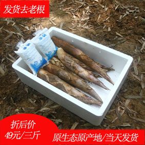 浙里上虞长塘毛笋