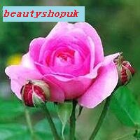 BEAUTYSHOPUK 美之域 美容保养 英国直销 欢迎批发订购