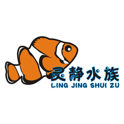 灵静水族