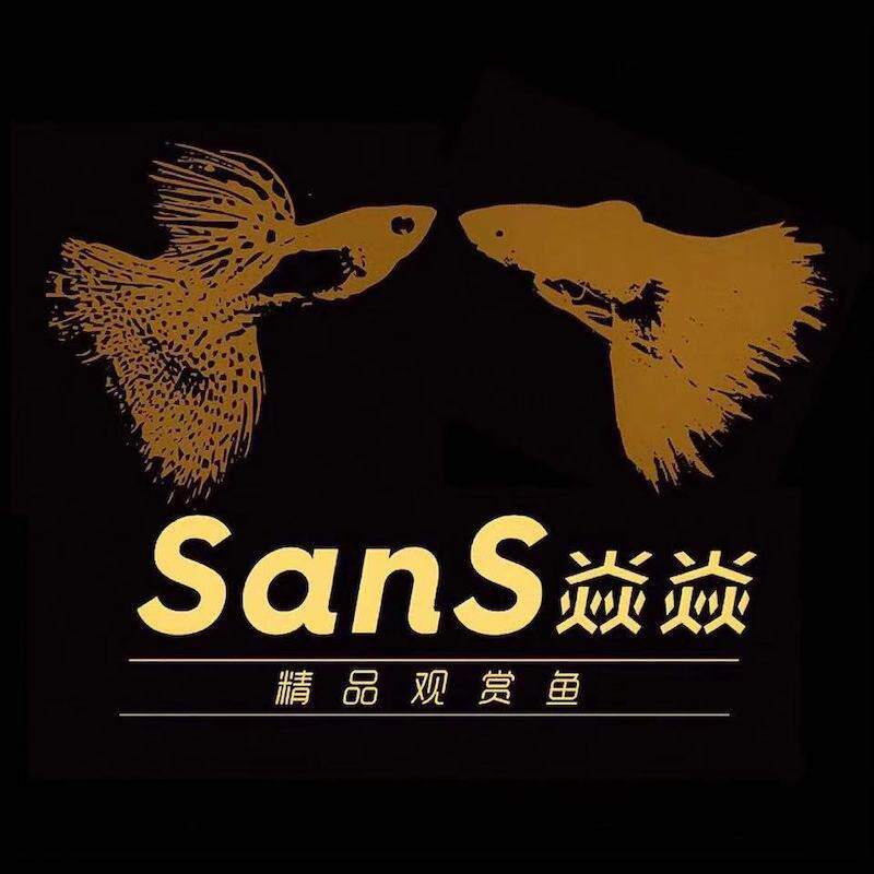 SanS焱焱精品观赏鱼