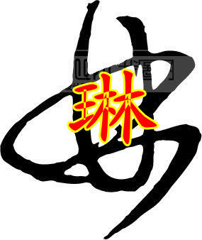 林琳电脑数码商行