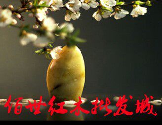 佰世红木批发城