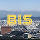 BIS STORE的LOGO