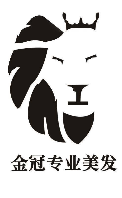 金冠专业美发工具