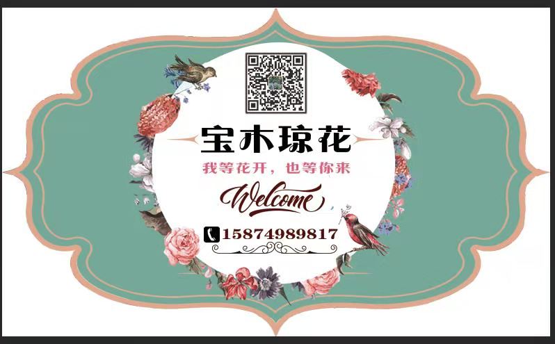 宝木琼花园艺的LOGO