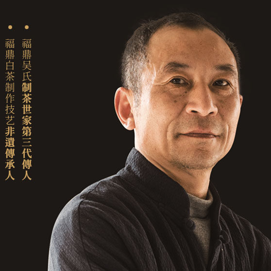 吴健双春隆白茶