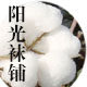 阳光袜铺A