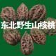 聚东北美食