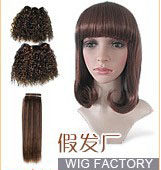 BINA HAIR FACTORY(工厂店)的LOGO
