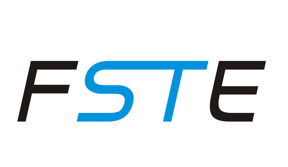 深圳FSTE机械手配件的LOGO