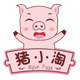 猪小淘婴幼宝贝的LOGO
