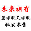 未来拥有的LOGO