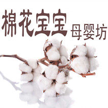 棉花宝宝母婴坊