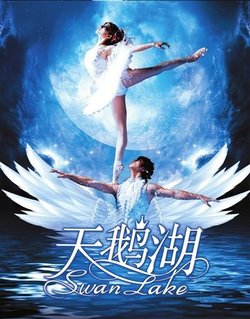 天鹅湖 舞蹈服
