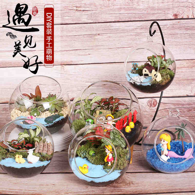 小小的世界大大的梦