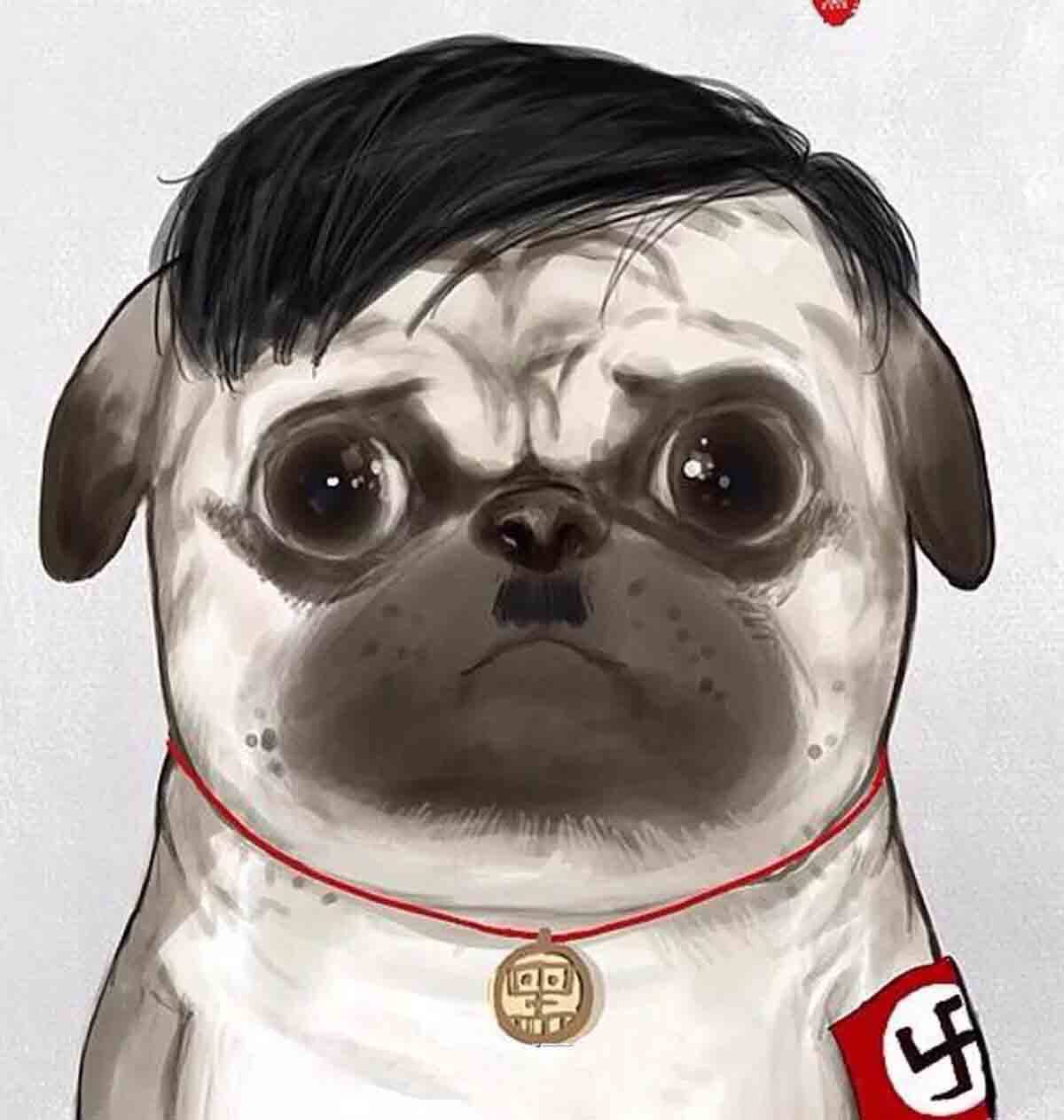 浪呀么浪打狼