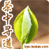 龙润茶缘 龙润茶玉溪实体店网店直销 正宗云南普洱茶