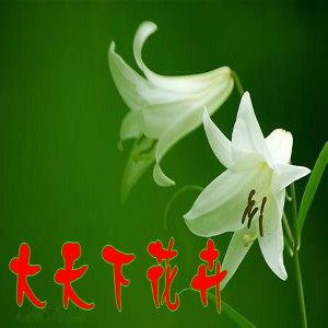 双子花卉销售中心的LOGO