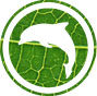 豚豚全球购的LOGO