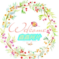 鑫鑫网艺