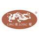 凌龙信息技术